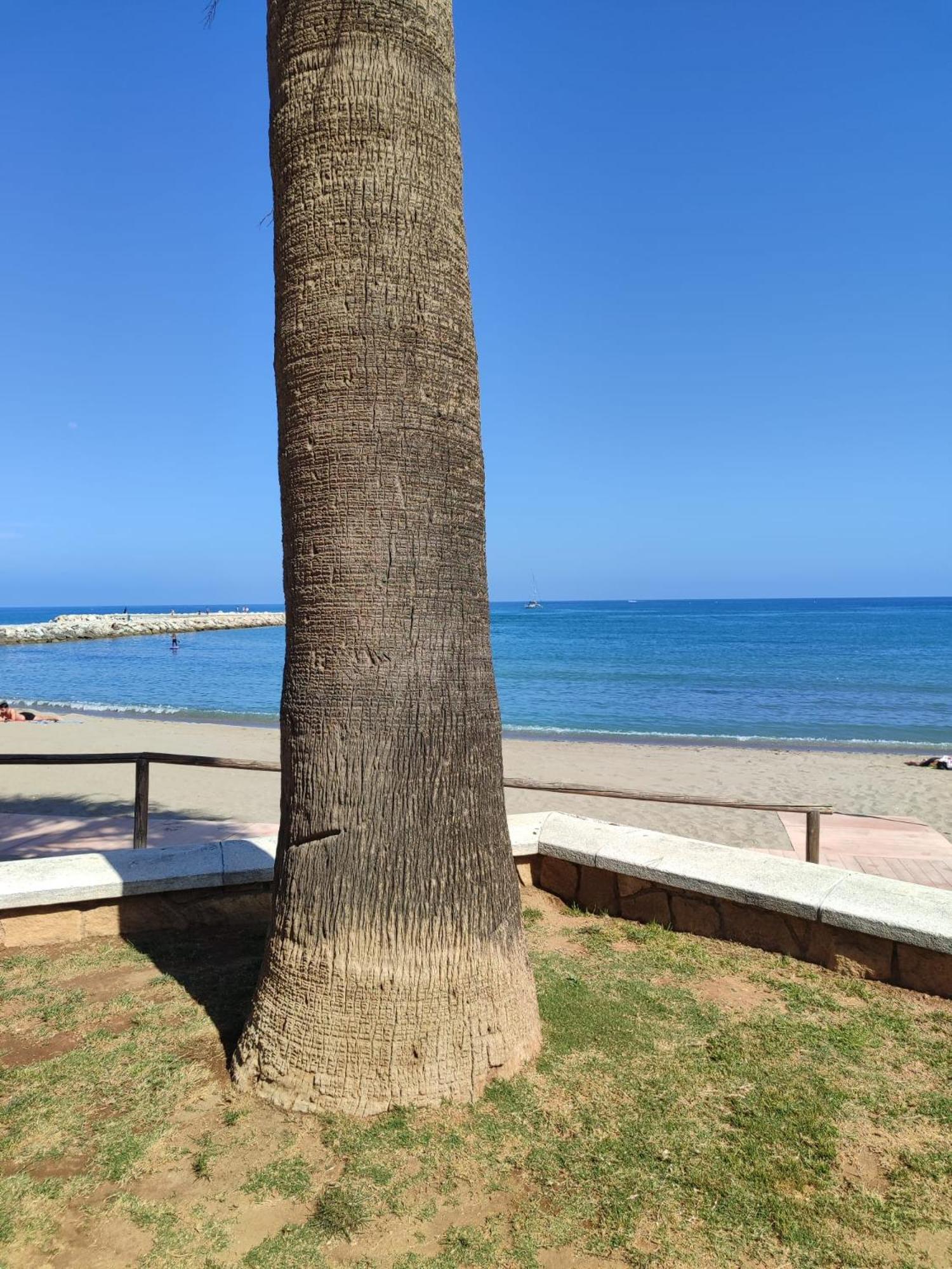 Fuengirola Reyes Beach Dış mekan fotoğraf